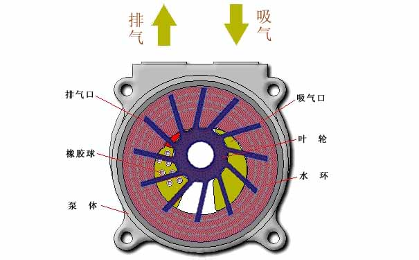 水環(huán)真空泵，水環(huán)式真空泵工作原理