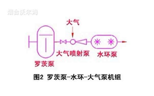 羅茨泵-水環(huán)-大氣泵機(jī)組