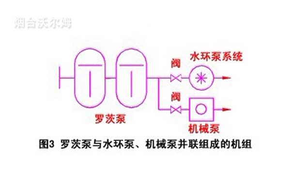 羅茨泵與水環(huán)泵、機(jī)械泵并聯(lián)組成的機(jī)組